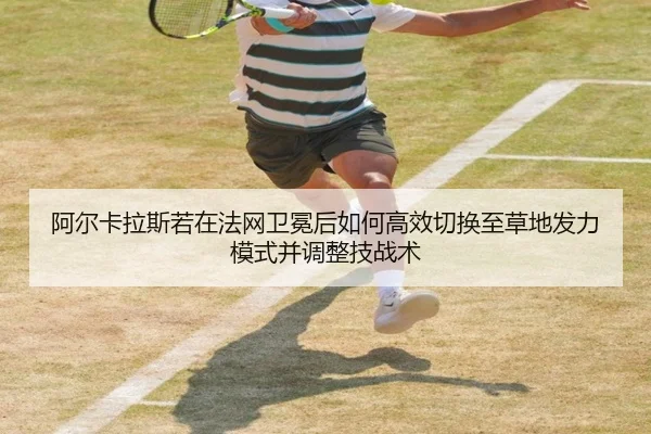 a-er-ka-la-si-ruo-zai-fa-wang-wei-mian-hou-ru-he-gao-xiao-qie-huan-zhi-cao-di-fa-li-mo-shi-bing-tiao-zheng-ji-zhan-shu-2-175.jpg